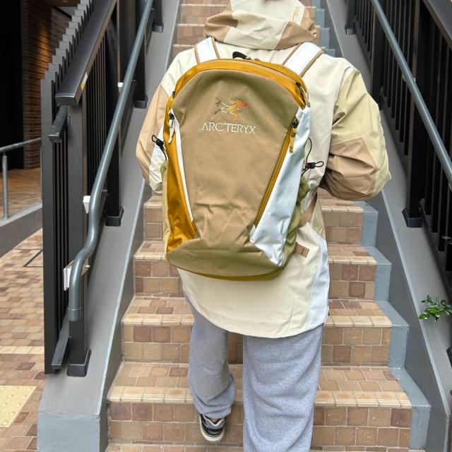 新品 アークテリクス ARC'TERYX 店舗限定 Mantis 26 Backpack