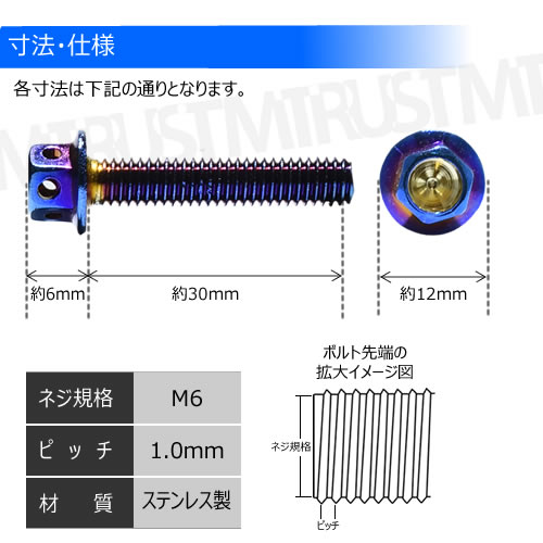 ステンレス製 チタンカラーボルト M6 30mm ピッチ 1 0mm 4個セット M6 30mm ナンバープレート 自光式 ナンバー ナンバーボルト ネオの通販はau Pay マーケット エムトラcarショップ