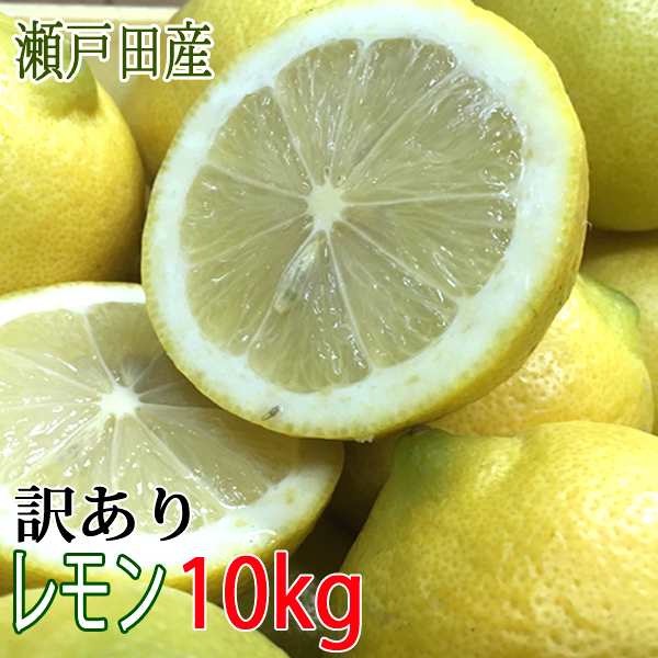 レモン訳あり 国産 10kg ノーワックス 防腐剤不使用 有機 減農薬 国産