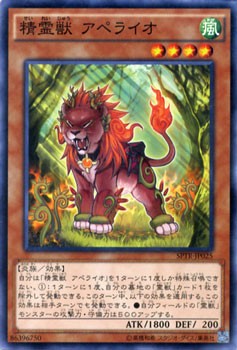 お見舞い 遊戯王カード SPTR トライブ・フォース アペライオ 精霊獣 その他