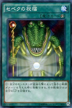 遊戯王カード セベクの祝福 15ax セベク 祝福 速攻魔法の通販はau Pay マーケット カードミュージアム