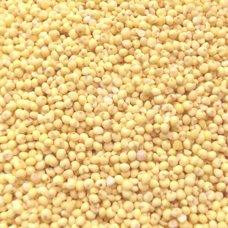【事業所配送（個人宅不可）】 もちきび 中国産 業務用 20kg (10kgx2)の通販は