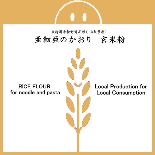 【事業所配送（個人宅不可）】 米麺用 玄米粉 亜細亜のかおり （山梨県産） 20kg (10kgx2)