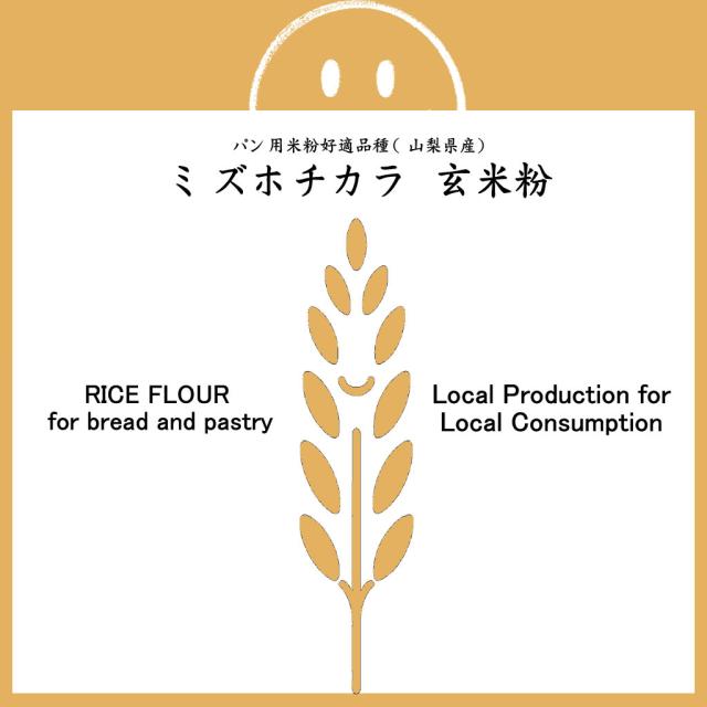 【事業所配送（個人宅不可）】 パン用 玄米粉 ミズホチカラ （山梨県産） 20kg (10kgx2)
