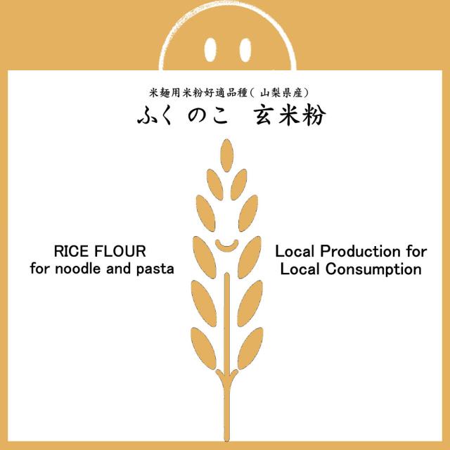 米麺用 玄米粉 ふくのこ （山梨県産） 20kg (10kgx2)