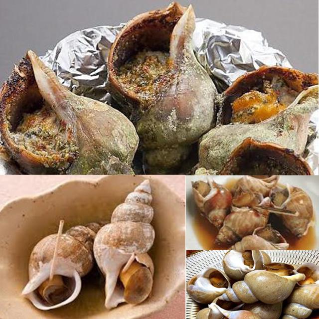 数量限定訳あり品 在庫処分企画 カナダ産ボイル殻付きつぶ貝１kg 解凍後生食可 Iqf凍結の通販はau Pay マーケット 食探七福神