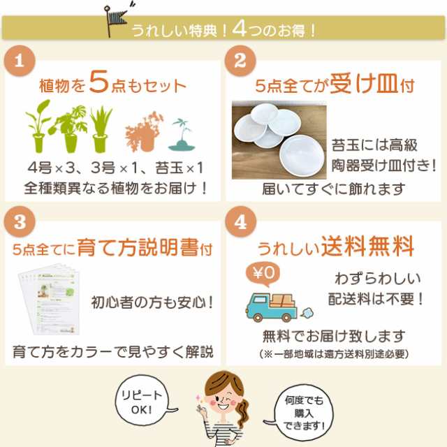 観葉植物 お試し5点セット 卓上サイズ】おしゃれ インテリア 初心者 人気 おまかせ プレゼント 女性 男性の通販はau PAY マーケット -  パキラと観葉植物専門店Marubun