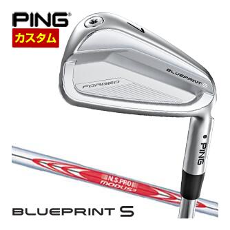 特注カスタムクラブ ピン BLUEPRINT S アイアン N.S.PRO MODUS3 TOUR110 シャフト 単品[＃3、＃4、＃5、＃6、＃7、＃8、＃9、PW]