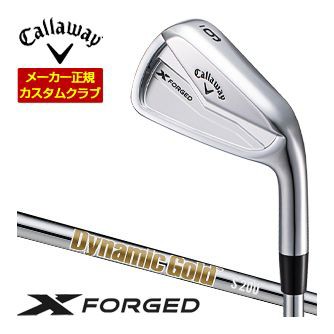 特注カスタムクラブ キャロウェイ X FORGED 24 アイアン 6本セット[＃5-P] ダイナミックゴールド HT シャフト