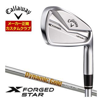 特注カスタムクラブ キャロウェイ X FORGED STAR 24 アイアン 6本セット[＃5-P] ダイナミックゴールド 120 シャフト