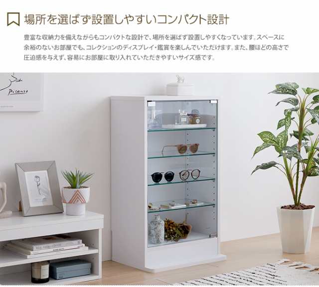 g147005】コレクションケース コレクションシェルフ シェルフ ガラス