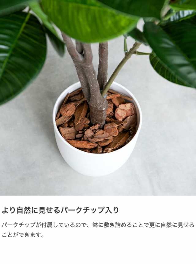 g162005】観葉植物 ゴムの木 フィカス フェイクグリーン 人工観葉植物