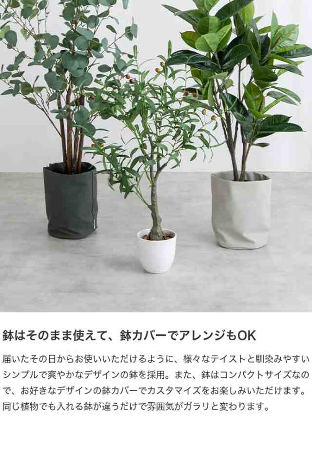 g162005】観葉植物 ゴムの木 フィカス フェイクグリーン 人工観葉植物