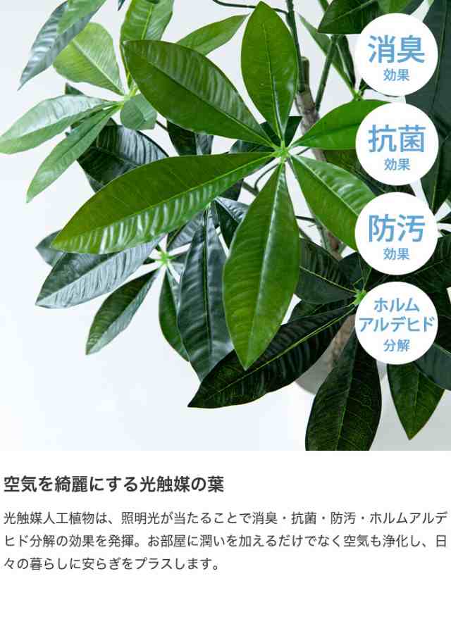 リアル Nature nature ナチュレ 観葉植物 パキラ フェイクグリーン