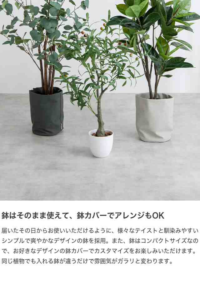 【g162009】Nature ナチュレ 観葉植物 ベンジャミン フェイクグリーン 人工観葉植物 インテリアグリーン 高さ120cm 光触媒