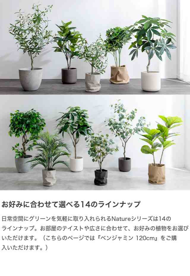 g162009】Nature ナチュレ 観葉植物 ベンジャミン フェイクグリーン