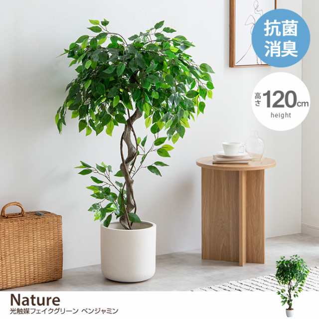 g162009】Nature ナチュレ 観葉植物 ベンジャミン フェイク