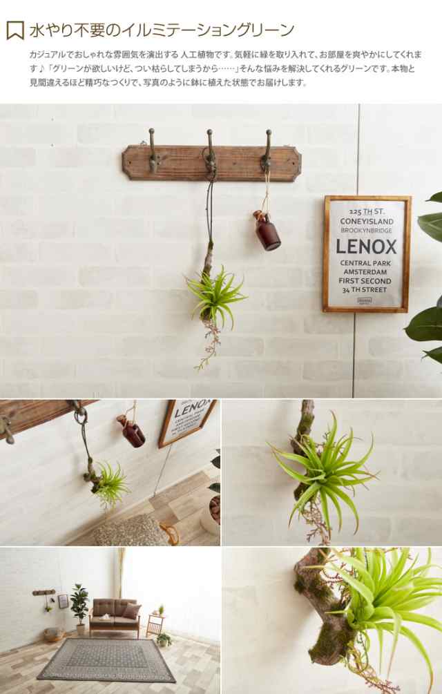 G 観葉植物 エアプランツ エアープランツ Air Plants 室内 イミテーショングリーン 人工 造花 植物 壁掛け 吊り下げの通販はau Pay マーケット 家具350