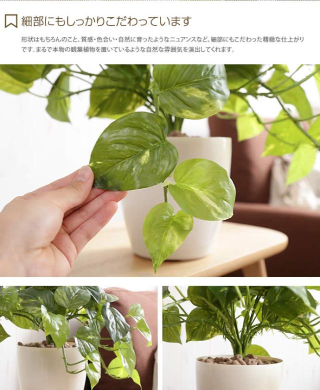 クーポンで15 Off 5 30 6 1限定 G Fresh Pothos フレッシュポトスm 人工植物 観葉植物 光触媒 水やり不要 お手入れ不要 グリーの通販はau Pay マーケット 家具350