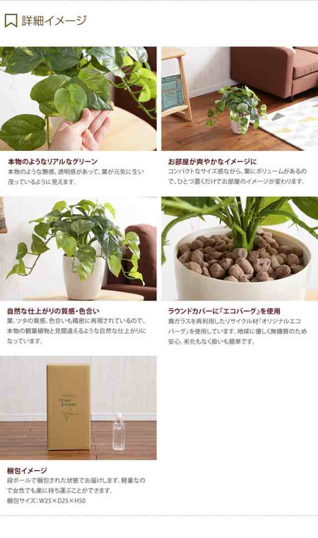 クーポンで15 Off 5 30 6 1限定 G Fresh Pothos フレッシュポトスm 人工植物 観葉植物 光触媒 水やり不要 お 手入れ不要 グリーの通販はau Pay マーケット 家具350