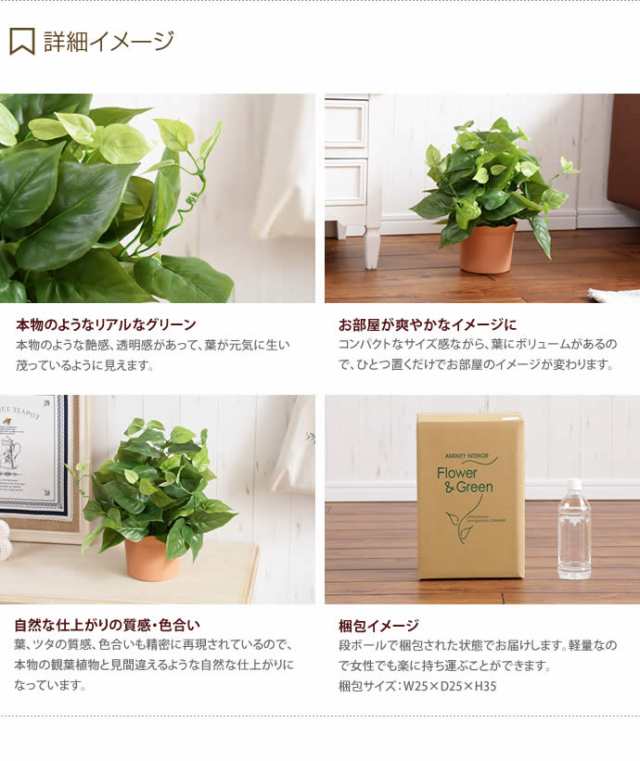 G Lime Pothos ライムポトス 人工植物 観葉植物 光触媒 水やり不要 お手入れ不要 グリーン リアルの通販はau Pay マーケット 家具350