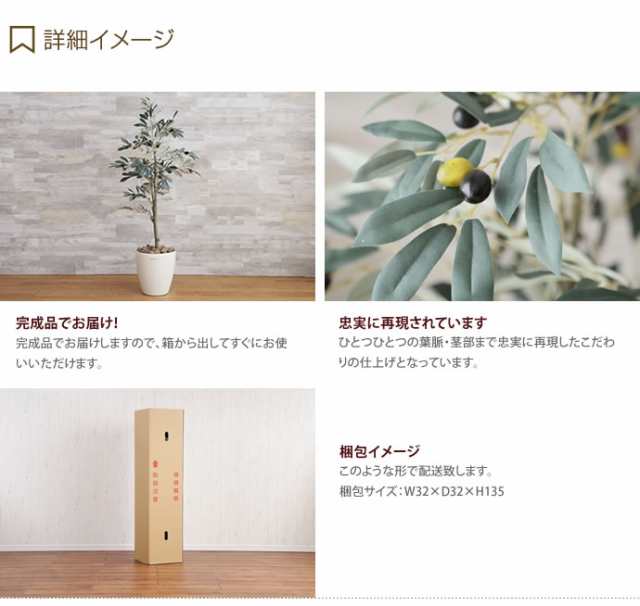 新しい季節 光触媒観葉植物 オリーブ1.65〔フロアタイプ〕 インテリア