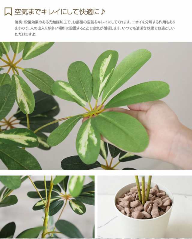 g46047】光触媒 フェイクグリーン 観葉植物 人工観葉植物 グリーン