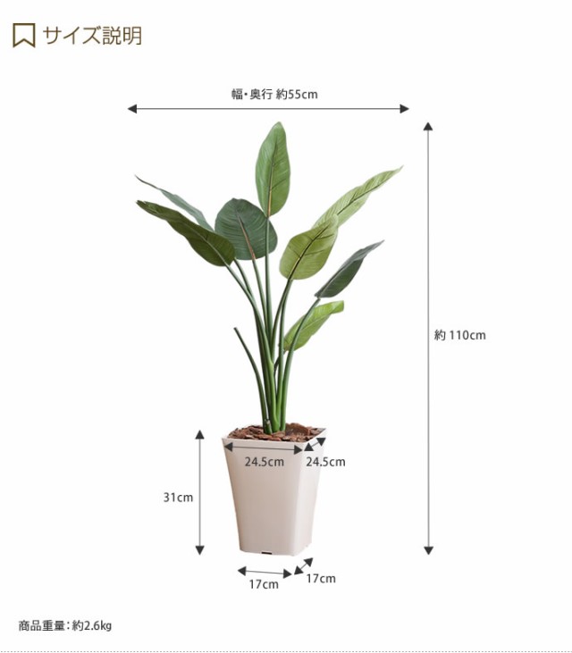 光触媒　人工観葉植物　ウォールグリーン　フェイクグリーン　ストレチア1.6m16