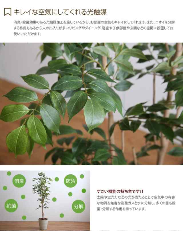 g46058】【高さ1.3m】 光触媒 フェイクグリーン 観葉植物 人工観葉植物