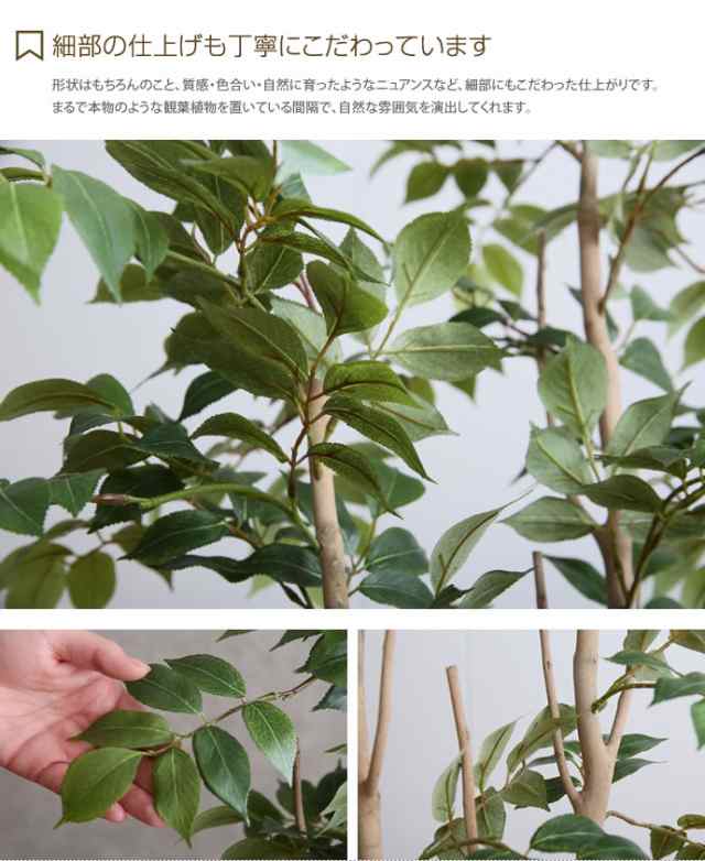 g46058】【高さ1.3m】 光触媒 フェイクグリーン 観葉植物 人工観葉植物