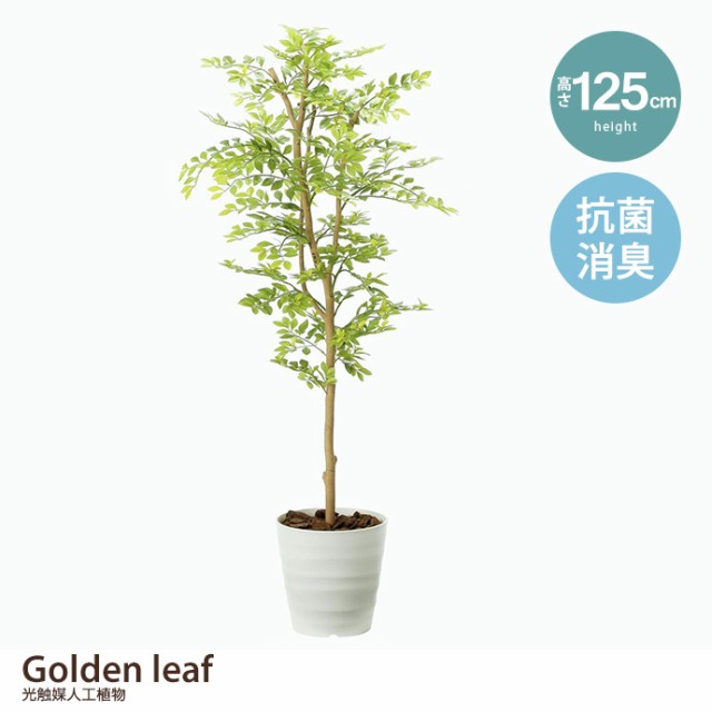 【g46025】観葉植物 光触媒 造花 ゴールデンリーフ グリーン 人工植物 消臭 抗菌 防菌 ホルムアルデヒド 植物 人工 タバコの通販は