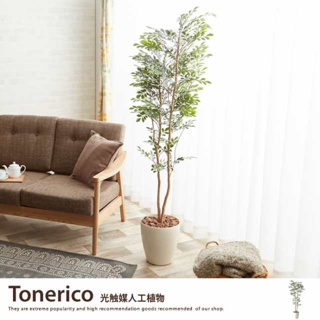 g46028】観葉植物 トネリコ toneriko tonerico 室内 イミテーション