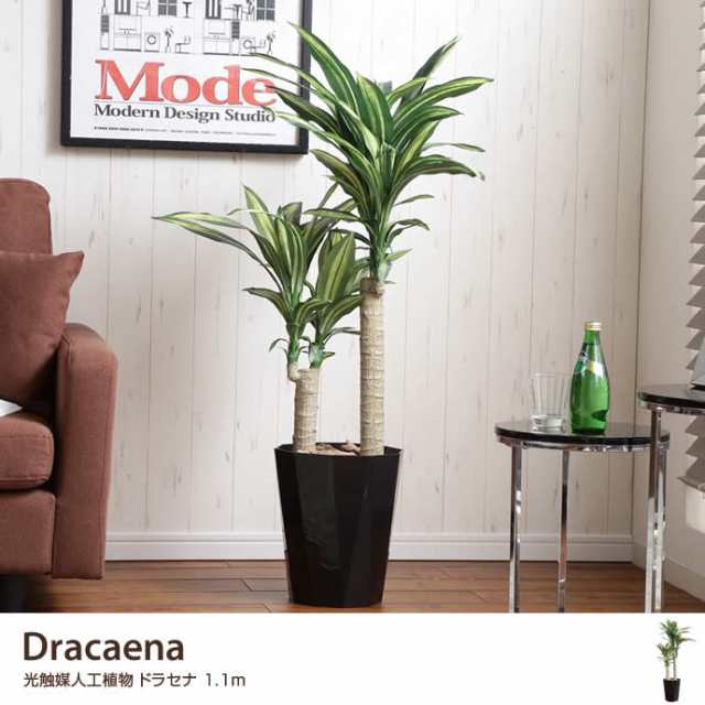 G 高さ1 1m Dracaena ドラセナ 人工植物 観葉植物 光触媒 水やり不要 お手入れ不要 グリーン リアルの通販はau Pay マーケット 家具350