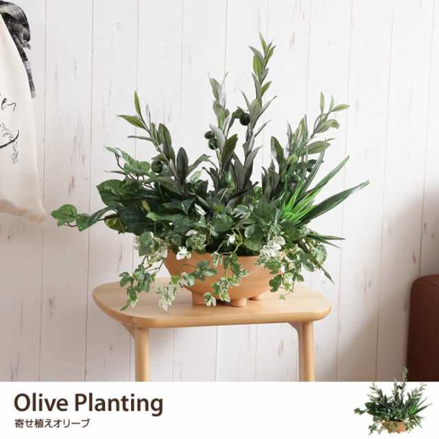 G Olive Planting 寄せ植えオリーブ 人工植物 観葉植物 光触媒 水やり不要 お手入れ不要 グリーン リアルの通販はau Pay マーケット 家具350