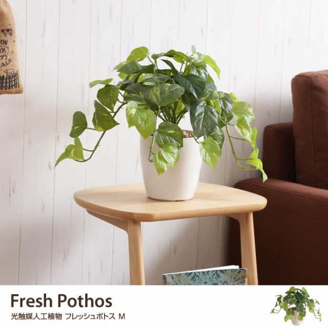 G Fresh Pothos フレッシュポトスm 人工植物 観葉植物 光触媒 水やり不要 お手入れ不要 グリーン リアルの通販はau Pay マーケット 家具350