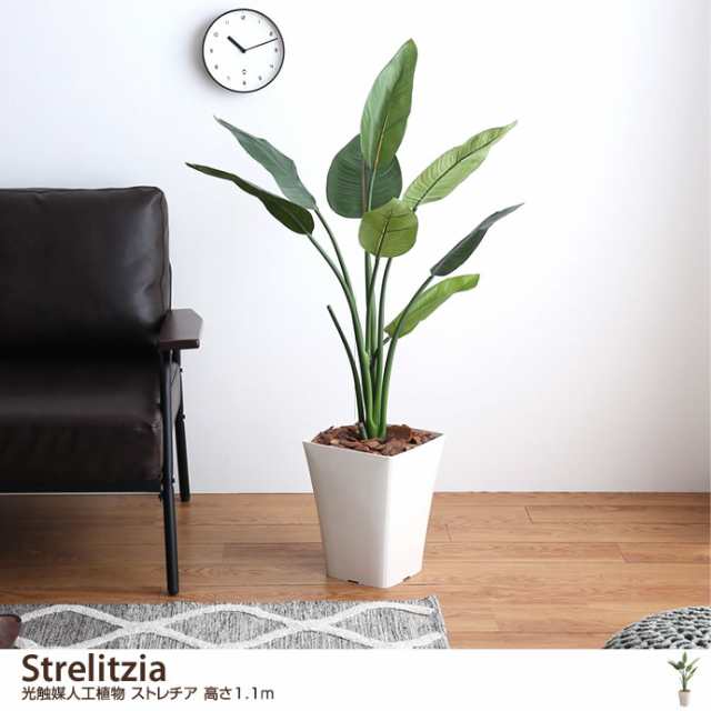 光触媒　人工観葉植物　ウォールグリーン　フェイクグリーン　ストレチア1.6m16