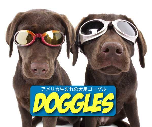 紫外線をカット 犬用めがね ドグルズ ミリタリールック Xs の通販はau Wowma 株式会社イーコレ