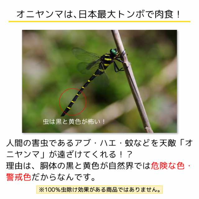 オニヤンマ キーホルダー おにやんま フィギュア 立体 ストラップ付 とんぼ 蜻蛉 トンボ 昆虫 通学 習い事 などの持ち物に！ 幼稚園  保育の通販はau PAY マーケット - スマホケースと雑貨のお店 スマコム