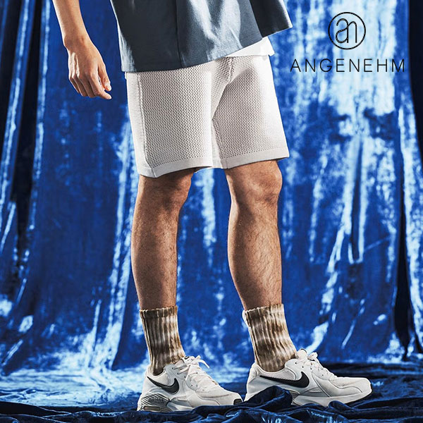 2026 春夏 先行予約 4月下旬〜5月上旬入荷予定 ANGENEHM アンゲネーム Sheer Mesh Airy Knit Shorts メンズ ショートパンツ atfpts