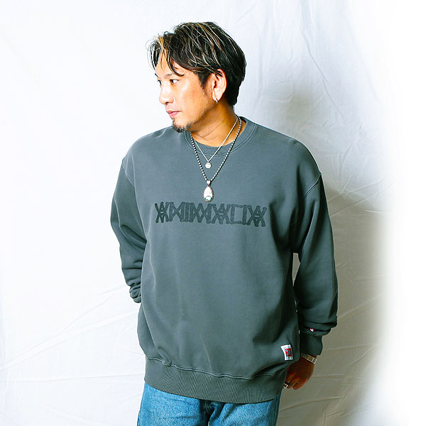 2025 秋冬 先行予約 10月〜11月入荷予定 ANIMALIA アニマリア Pigment Dyeing Crew Sweat -LOGO スウェット キャンセル不可 atftps