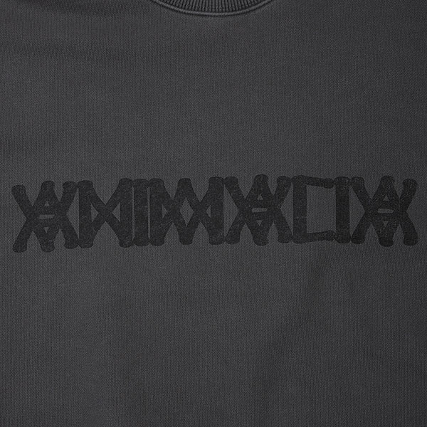 2025 秋冬 先行予約 10月〜11月入荷予定 ANIMALIA アニマリア Pigment Dyeing Crew Sweat -LOGO スウェット キャンセル不可 atftps