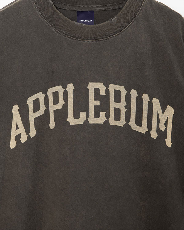 APPLEBUM アップルバム Damaged Short T-shirt メンズ Tシャツ 半袖 ダメージ加工 ショート丈 送料無料 ストリート atftps_8