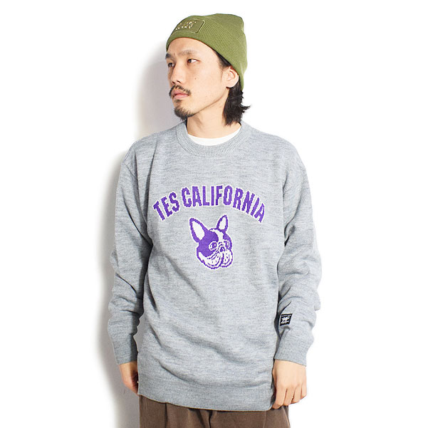 The Endless Summer エンドレスサマー TES COLLEGE BUHI The Endless Summer エンドレスサマー TES COLLEGE BUHI