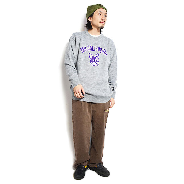 The Endless Summer エンドレスサマー TES COLLEGE BUHI The Endless Summer エンドレスサマー TES COLLEGE BUHI