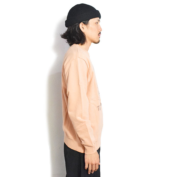 The Endless Summer エンドレスサマー TES THE RUNNER SWEAT CREW NECK -SALMON- メンズ スウェット トレーナー クルーネック atftps