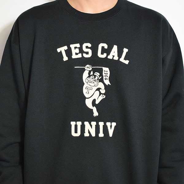 The Endless Summer エンドレスサマー TES COLLEGE EMB BIG SWEAT -BLACK- メンズ スウェット atftps