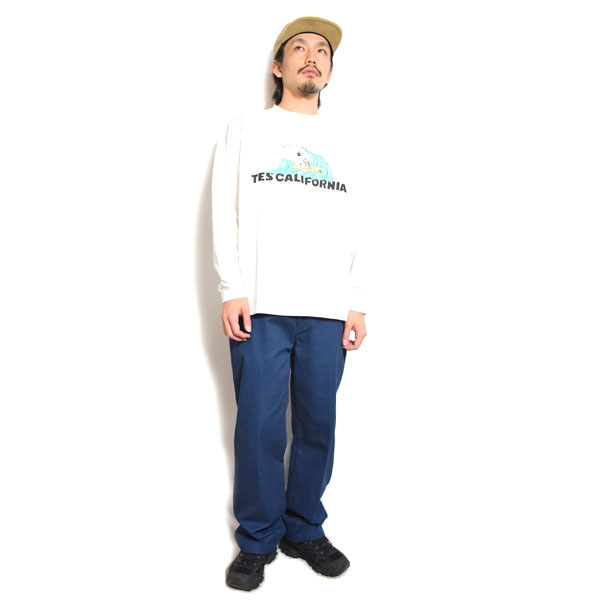 The Endless Summer エンドレスサマー TES CALIFORNIA WAVE LONG SLEEVE T-SHIRT -WHITE- メンズ Tシャツ 長袖 atftps