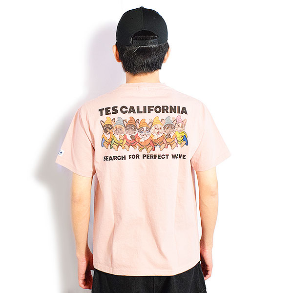 エンドレスサマー tes 完全生産限定盤 エンドレスサマー 40th