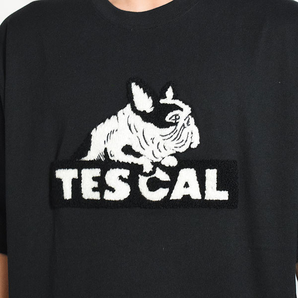 The Endless Summer エンドレスサマー TES CAL SAGARA LOGO BIG T-SHIRT -BLACK- メンズ Tシャツ 半袖 TES ストリート atftps