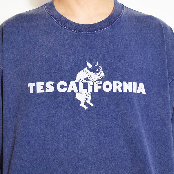 The Endless Summer エンドレスサマー TES CALIFORNIA LOGO PIGMENT LONG SLEEVE BIG T-SHIRT -NAVY- Tシャツ atftps